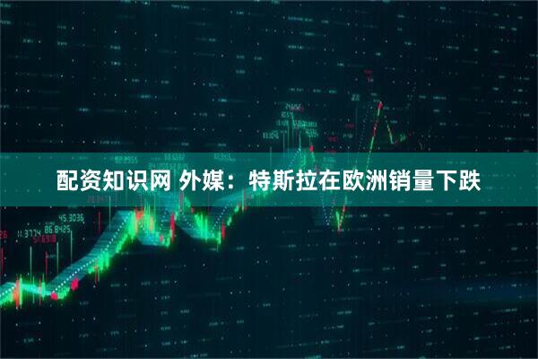配资知识网 外媒：特斯拉在欧洲销量下跌