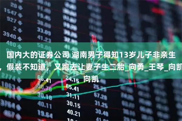 国内大的证券公司 湖南男子得知13岁儿子非亲生，假装不知道，又跑去让妻子生二胎_向勇_王琴_向凯