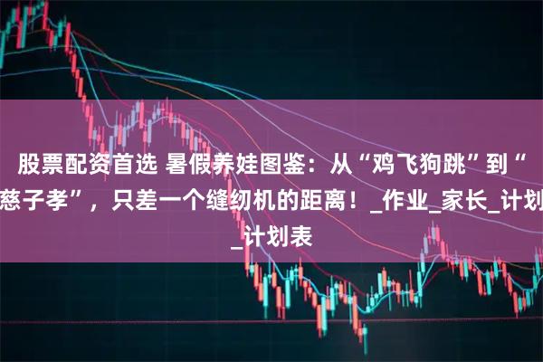 股票配资首选 暑假养娃图鉴：从“鸡飞狗跳”到“母慈子孝”，只差一个缝纫机的距离！_作业_家长_计划表