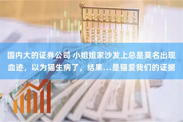 国内大的证券公司 小姐姐家沙发上总是莫名出现血迹，以为猫生病了，结果…是猫爱我们的证据
