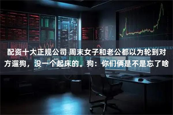 配资十大正规公司 周末女子和老公都以为轮到对方遛狗，没一个起床的。狗：你们俩是不是忘了啥