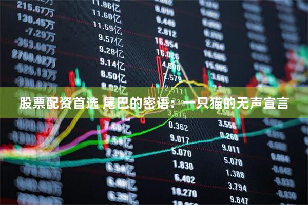 股票配资首选 尾巴的密语：一只猫的无声宣言