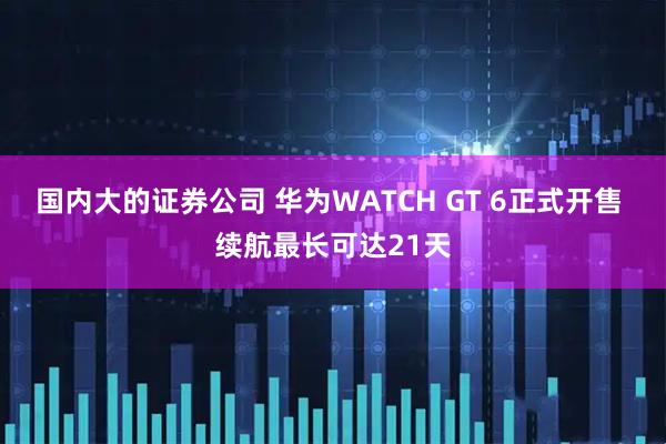 国内大的证券公司 华为WATCH GT 6正式开售 续航最长可达21天