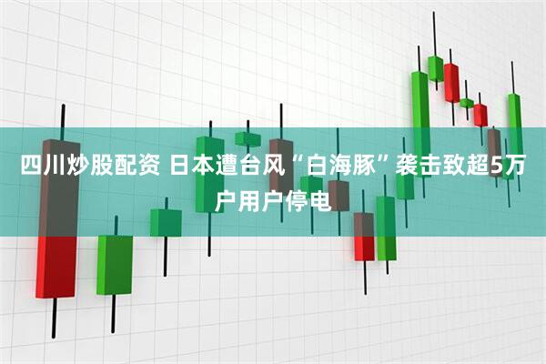 四川炒股配资 日本遭台风“白海豚”袭击　致超5万户用户停电